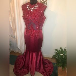 Hebeos Satin Prom Dress w/ Rose, Crystal and Mesh Appliqué